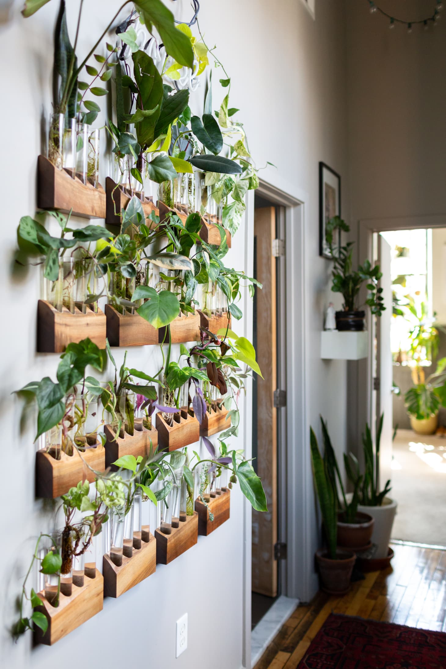 10 New and Brilliant Ways to Decorate  With Plants  